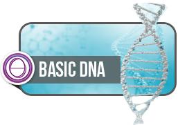 Basic DNA